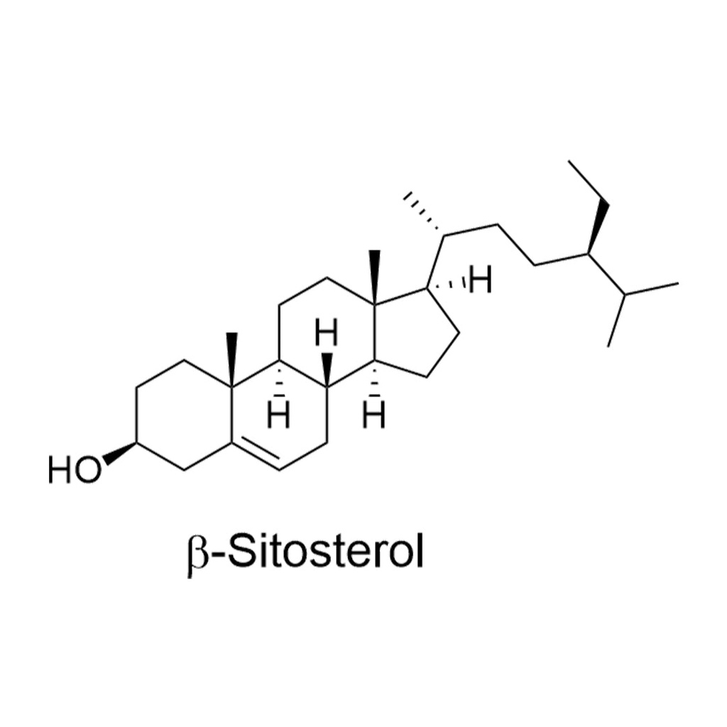beta-sitosterol (plant-based, >99% purity) - 25mg